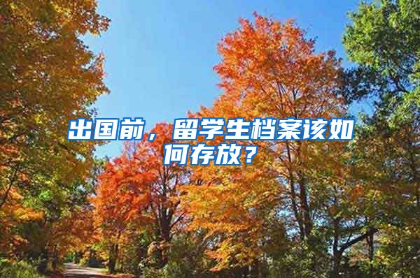 出国前，留学生档案该如何存放？