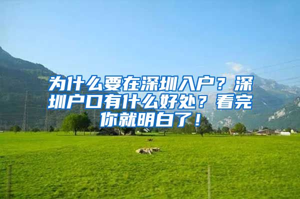 为什么要在深圳入户？深圳户口有什么好处？看完你就明白了！
