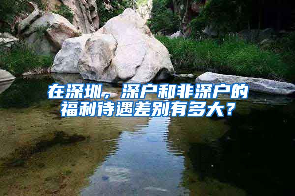 在深圳，深户和非深户的福利待遇差别有多大？