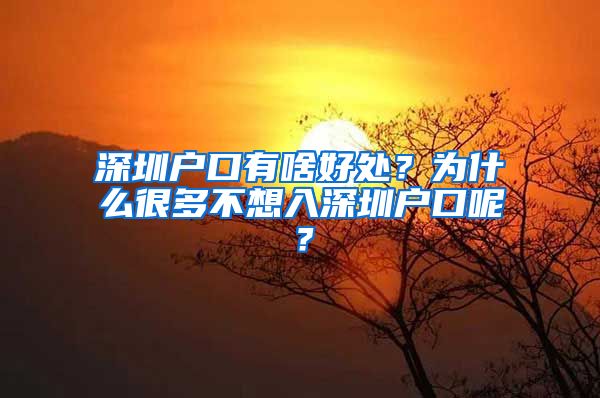 深圳户口有啥好处？为什么很多不想入深圳户口呢？