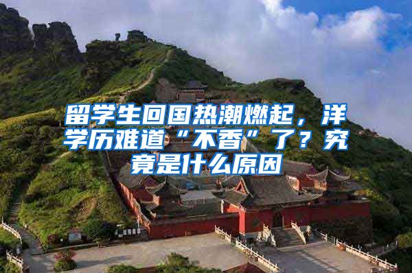 留学生回国热潮燃起，洋学历难道“不香”了？究竟是什么原因