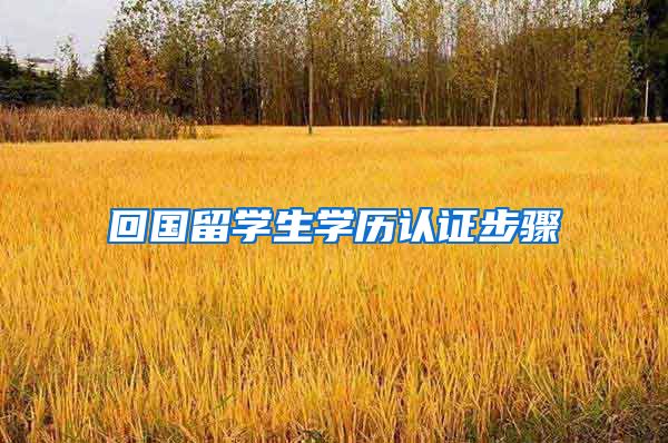 回国留学生学历认证步骤