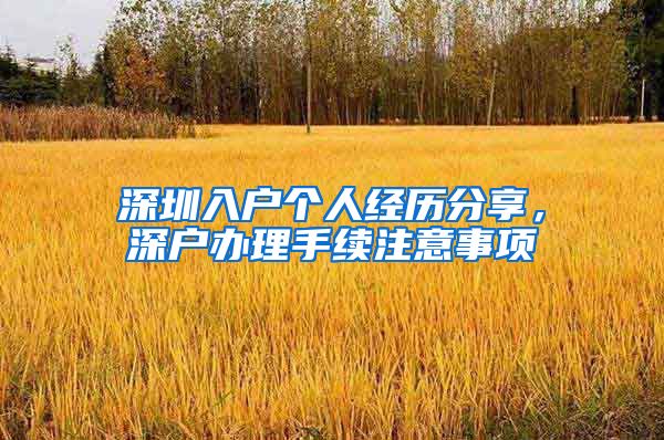 深圳入户个人经历分享，深户办理手续注意事项