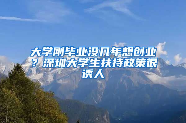大学刚毕业没几年想创业？深圳大学生扶持政策很诱人