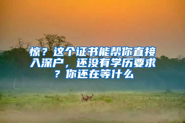 惊？这个证书能帮你直接入深户，还没有学历要求？你还在等什么