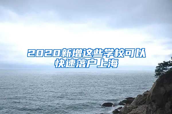 2020新增这些学校可以快速落户上海
