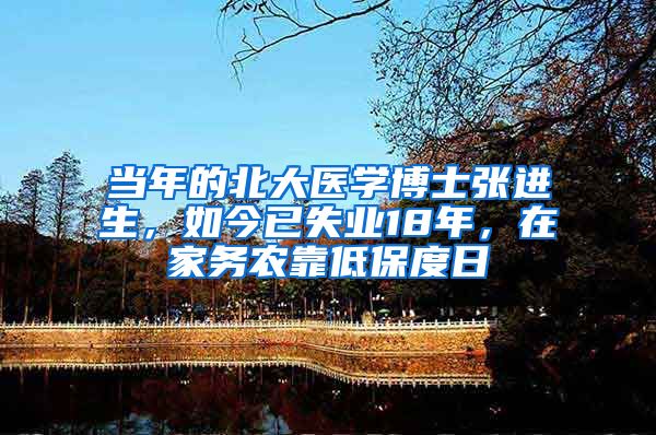 当年的北大医学博士张进生，如今已失业18年，在家务农靠低保度日