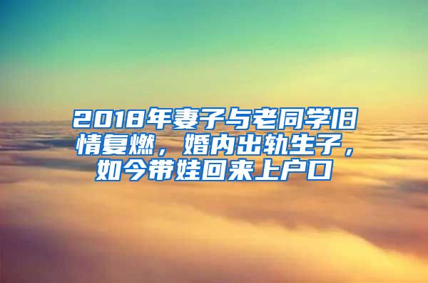2018年妻子与老同学旧情复燃，婚内出轨生子，如今带娃回来上户口