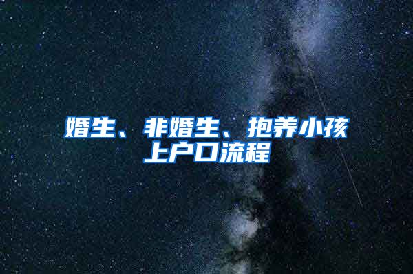 婚生、非婚生、抱养小孩上户口流程