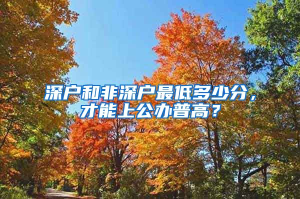 深户和非深户最低多少分，才能上公办普高？