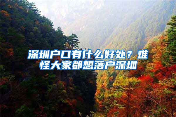 深圳户口有什么好处？难怪大家都想落户深圳
