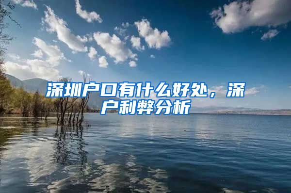 深圳户口有什么好处，深户利弊分析