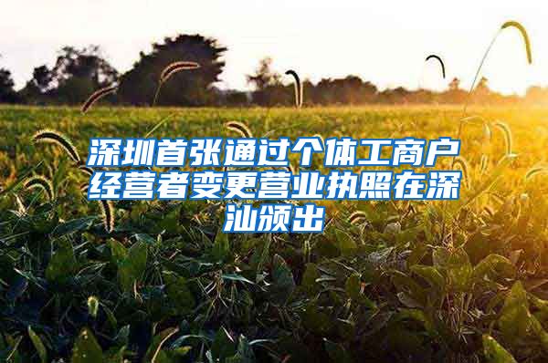 深圳首张通过个体工商户经营者变更营业执照在深汕颁出