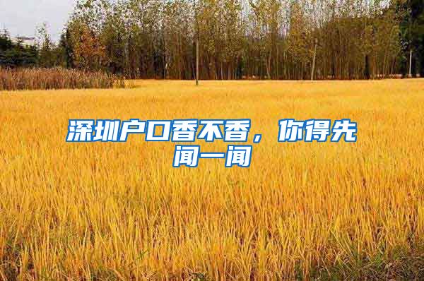 深圳户口香不香，你得先闻一闻