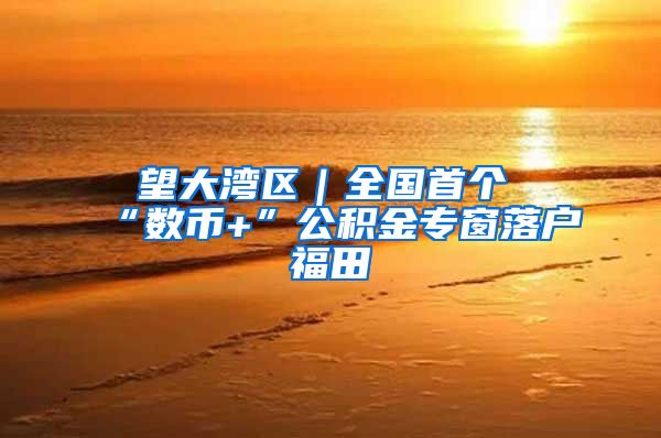 瞭望大湾区｜全国首个“数币+”公积金专窗落户福田
