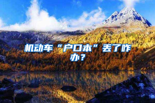 机动车“户口本”丢了咋办？