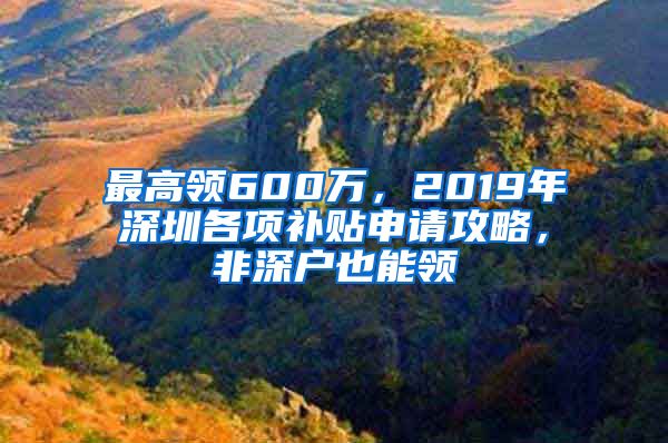 最高领600万，2019年深圳各项补贴申请攻略，非深户也能领