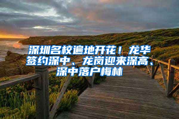 深圳名校遍地开花！龙华签约深中、龙岗迎来深高、深中落户梅林