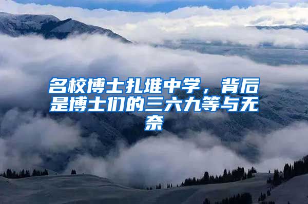 名校博士扎堆中学，背后是博士们的三六九等与无奈