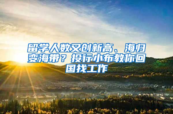 留学人数又创新高、海归变海带？投行小布教你回国找工作