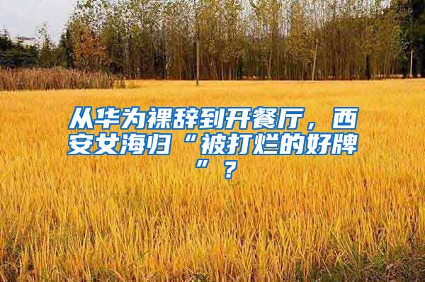 从华为裸辞到开餐厅，西安女海归“被打烂的好牌”？