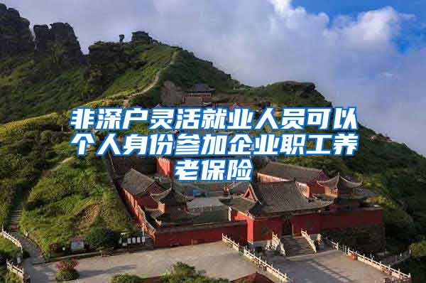 非深户灵活就业人员可以个人身份参加企业职工养老保险