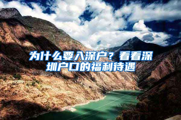 为什么要入深户？看看深圳户口的福利待遇