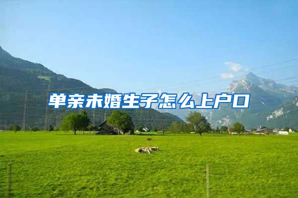 单亲未婚生子怎么上户口