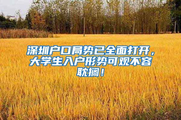深圳户口局势已全面打开，大学生入户形势可观不容耽搁！