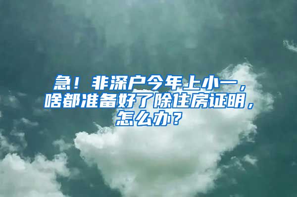 急！非深户今年上小一，啥都准备好了除住房证明，怎么办？